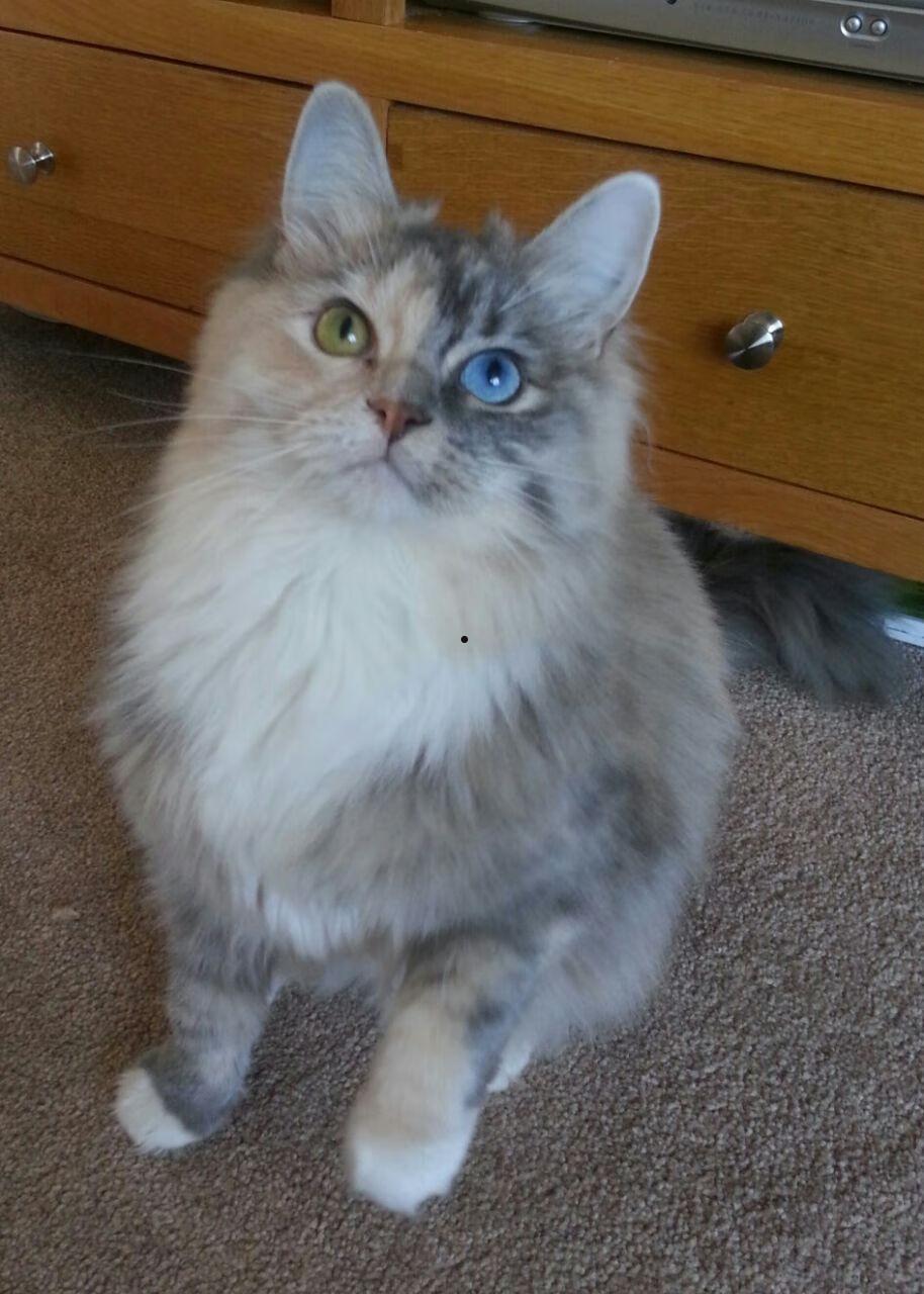 好看的校园完结小说 要介绍